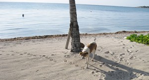 Lady1-2011-1756